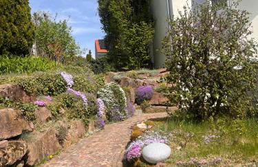 Gemütliche, sonnendurchflutete Ferienwohnung in Bodenseenähe am Säntisblick - Foto 28