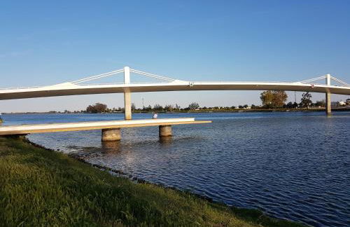 Apartamento El Fangar - Foto 41