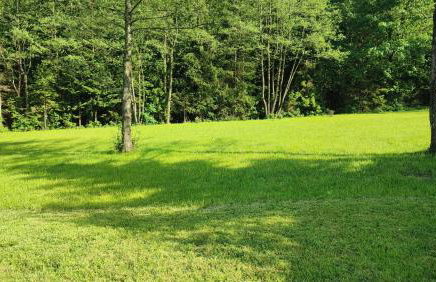 Brama Gór - Foto 34