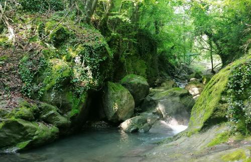 Les Pedres - Foto 50