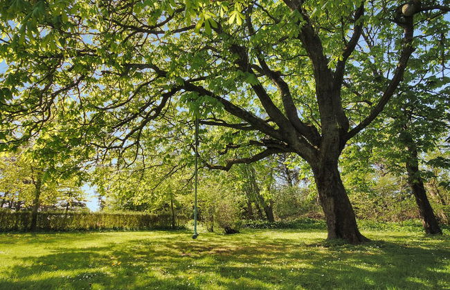 "Sophia" - 8km from the sea - Foto 27