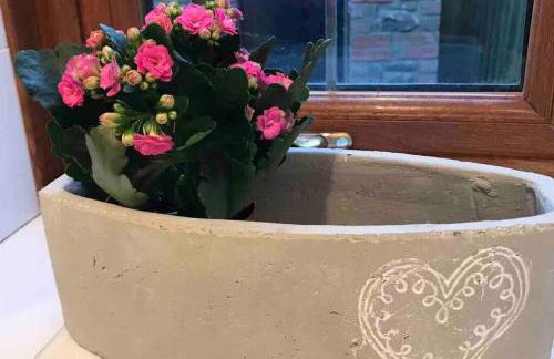 Cwtch Bach - Garnant - Foto 27