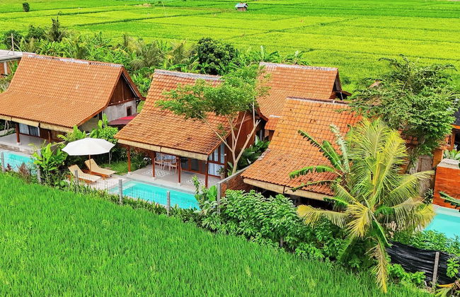 Rumah Tengah Sawah - Photo 1