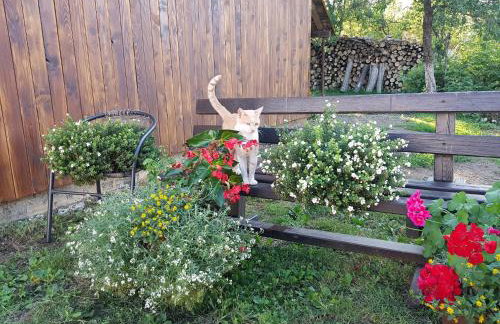 Apartments Sanja - Foto 41