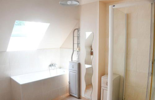 Le Regeau, Chatillon Coligny - Foto 4