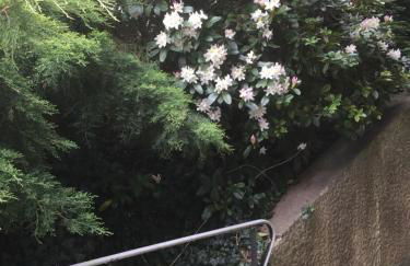 Mainzimmer Business Appartment - Monteurwohnung mit Burgblick - Foto 15