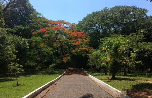 Chácara Paradisíaca às margens do Rio Jaguari - Foto 51