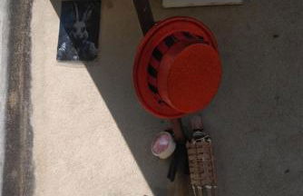 Maison à l'ancienne avec grand terrain , animaux bienvenus - Foto 49