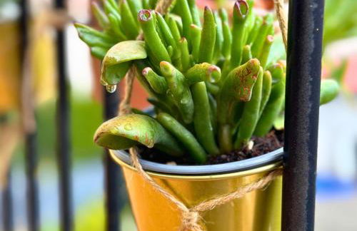 Cal Harrys - La Mejor Casa de vacaciones en Pyrenees con Vistas a la Montaña - Photo 58