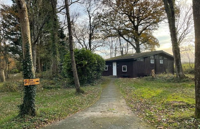 11 Tan-y-coed Woodland Lodge - Foto 27