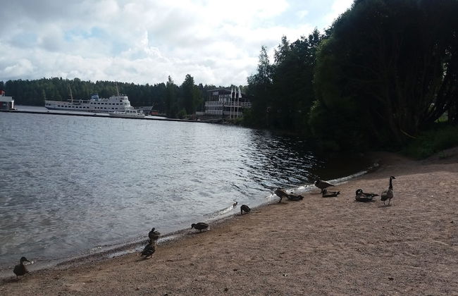 Kiurun Villas - Photo 26