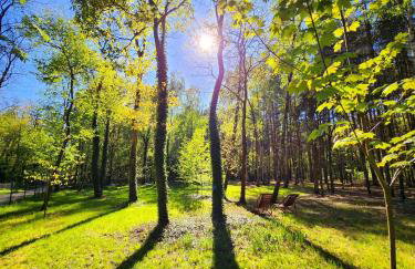 Tree Houses Olszanka - Photo 24