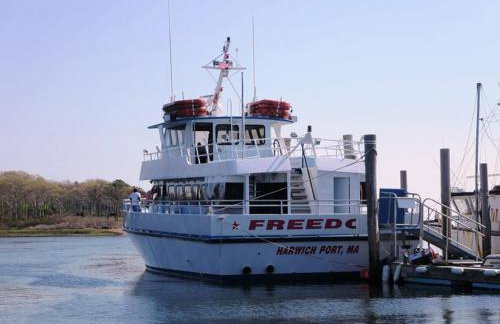 Whip-o-Will Woods: Dog-Friendly Cape Cottage - Photo 24