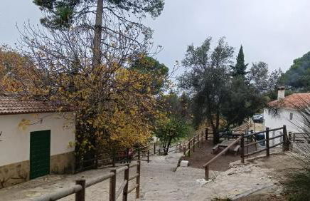 Suite La Fuente - Photo 34