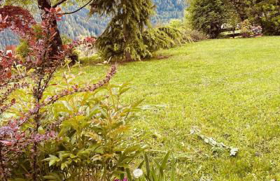 Appartamenti Pichler - Foto 22