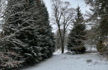 Grüne Villa - Foto 52