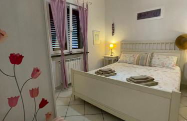 Casa Alina - Ischia Ponte - Foto 13