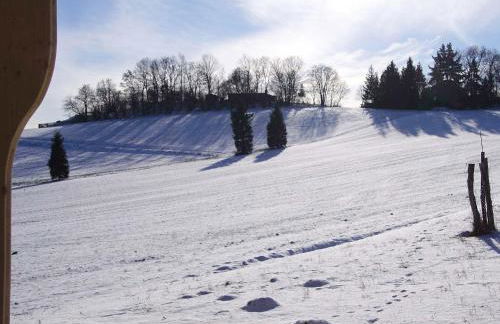Ferienhof Berghof - Foto 100
