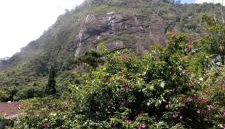 Casa junto ao Parque - Foto 2