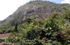 Casa junto ao Parque - Foto 2