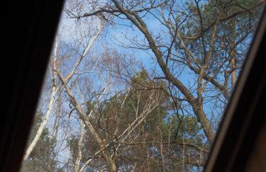 Leśne Zacisze - Foto 38