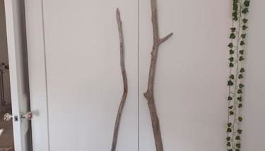 The Fuzzy Duck - Photo 4, wardrobe