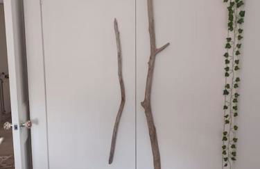 The Fuzzy Duck - Photo 4