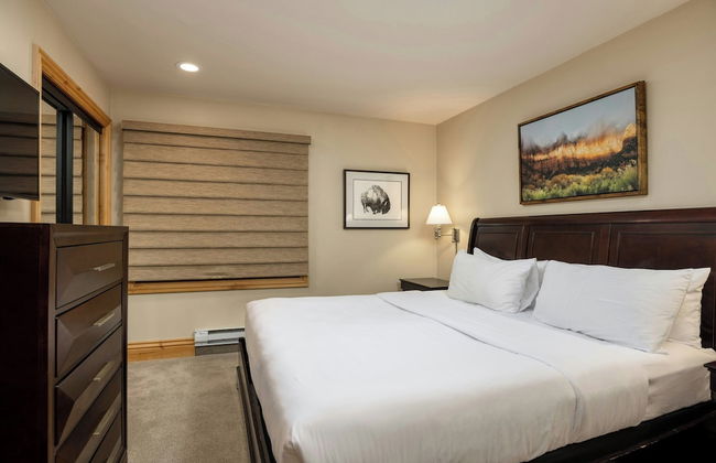 Montaneros in Vail - Photo 78