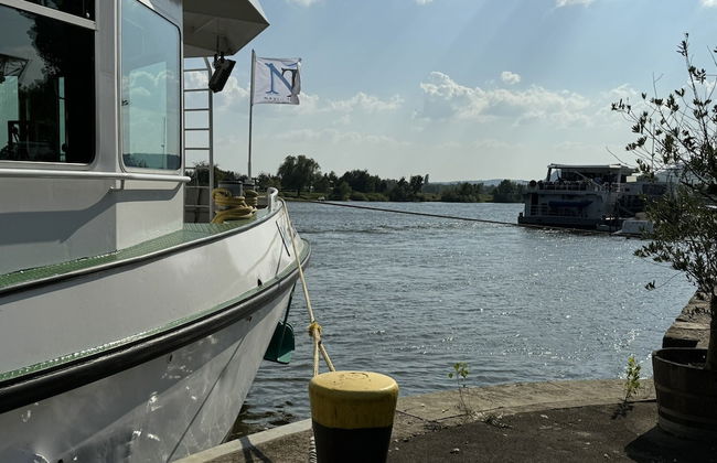 Holiday Home for Groups in Kinheim - Foto 40