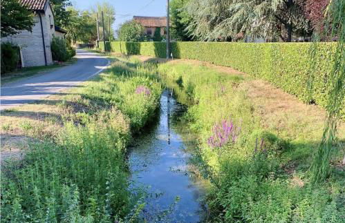 The Beekeeper, country escape & terrace near Parma - Photo 38