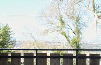 Zen Guest House - Museu do Bonsai - Foto 19