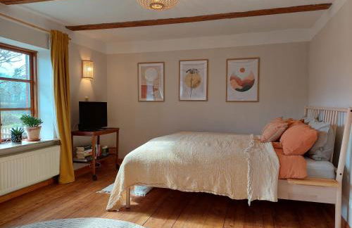 Gemütliches Studio-Apartment in Ostseenähe - Cosy Wulfi - Photo 8