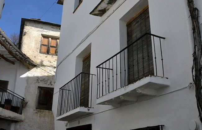 Castaño Real - Photo 16