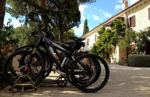 Dolce Vita - Foto 74