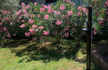 Villa La Bolvedrina - Lake Como Villa Apartments - Garden & First Floor - Foto 45