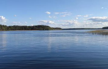 Stajnia Lisewo - Foto 44