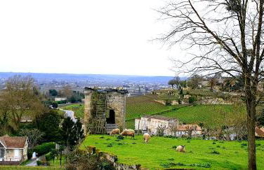 La maison d artiste - Foto 29