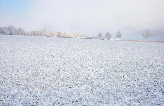 Wohnung in Densberg Nahe Kellerwald - Foto 37