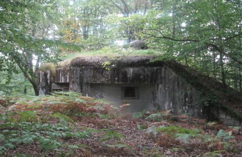 Meublés du 25 N3 Studio 1er Etage - Foto 28