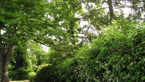 Casa vacanze Il Parco - Foto 4, Garden, Garden view