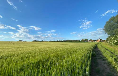 Ferienwohnung Moneblümchen - Foto 22
