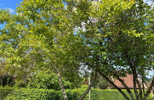 Les Maisons d'Antan 5 étoiles - Foto 35