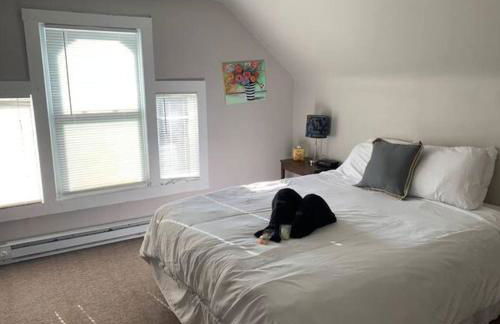 Private Attic room in shared home Near U of R - Photo 26