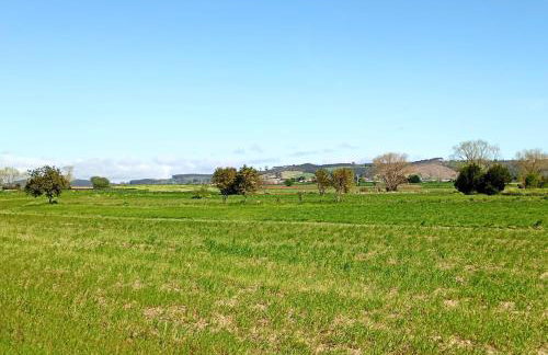 El Pinar de Arna - Photo 49