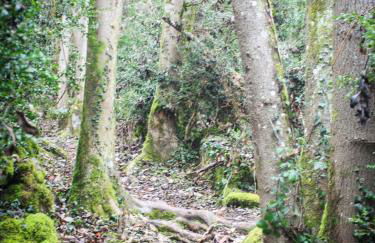 Gîte Le Rocher - Foto 21