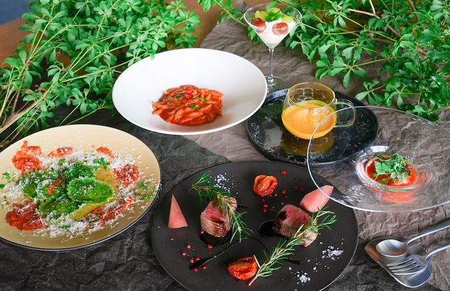 Setsu Niseko - Foto 71