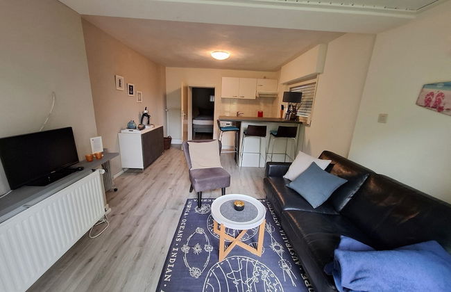 Apartment in Willingen Near Ski Slopes - Photo 5