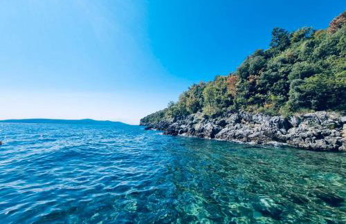 The House 1838 - Foto 3