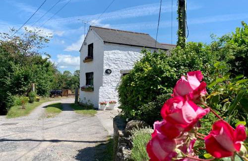 Old Nursery - Photo 41