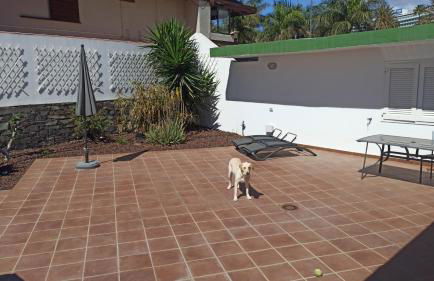 FANTASTICA vivienda en San Agustin con piscina - Foto 6